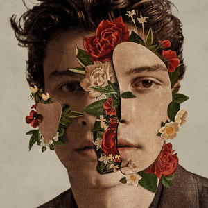 Do you know everything about Shawn Mendes? - Image Answer C Question 7